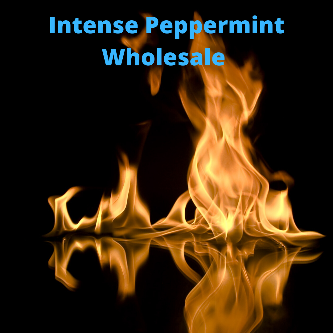 Wholesale Intense Peppermint bars